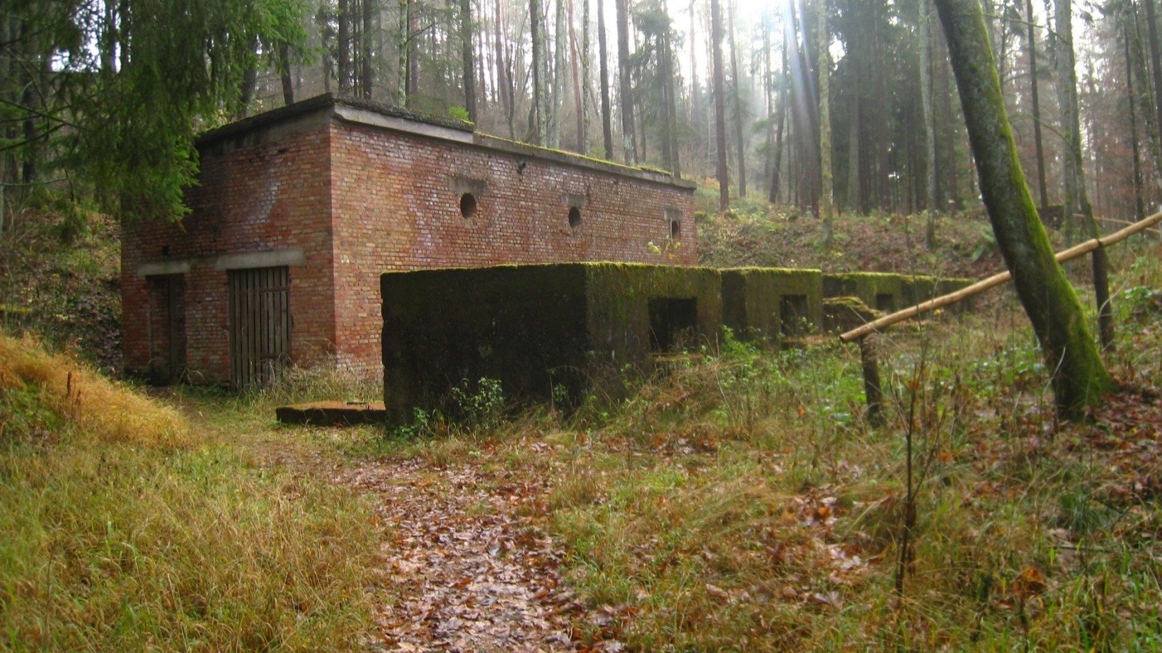 Backsteinruine (Eckerwald)