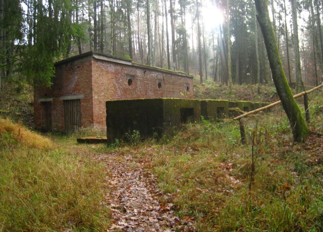 Backsteinruine (Eckerwald)