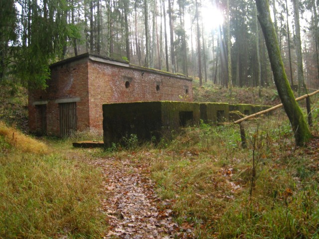Backsteinruine (Eckerwald)