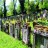 Haagfriedhof (jüdischer Friedhof Haigerloch)
