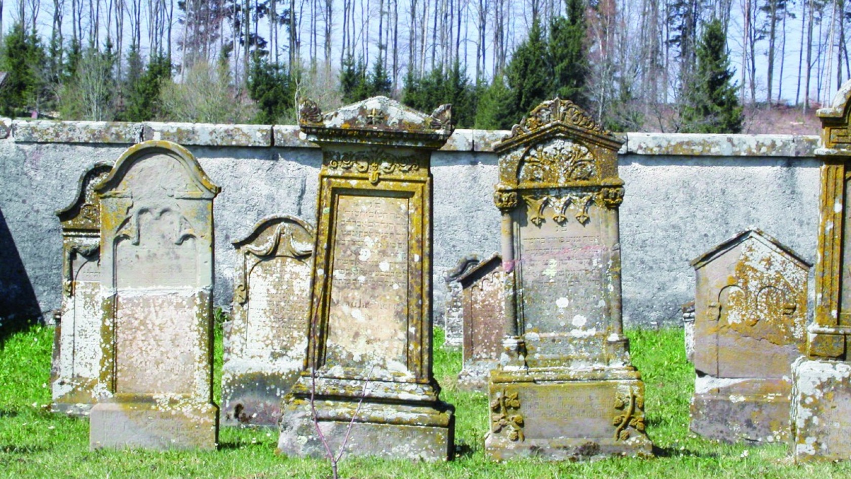 Jüdischer Friedhof Dettensee