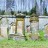 Jüdischer Friedhof Dettensee
