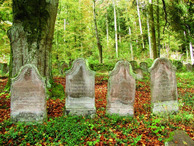Jüdischer Waldfriedhof Mühringen
