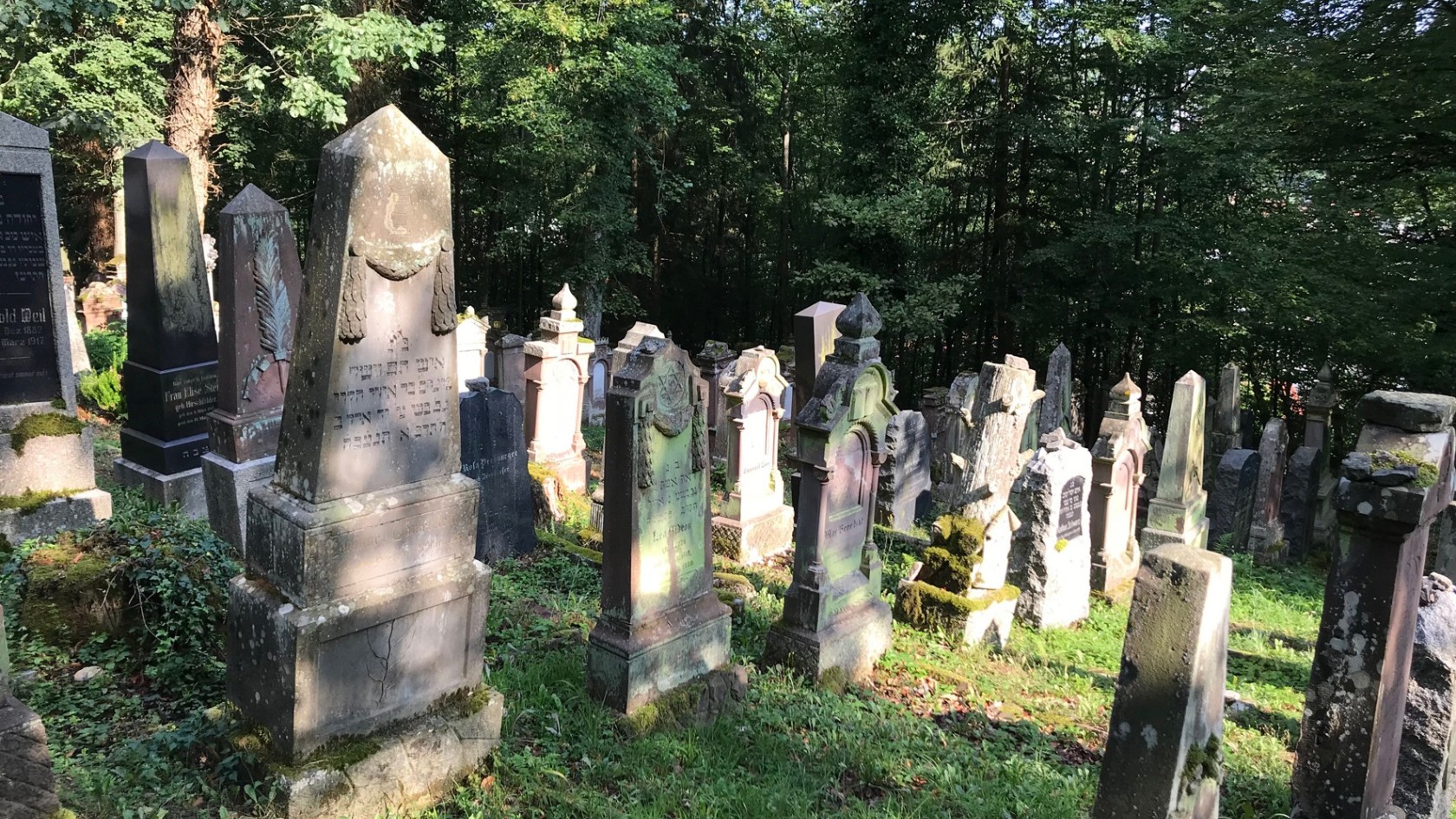 Jüdischer Friedhof Rexingen (1/2)