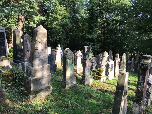 Jüdischer Friedhof Rexingen (1/2)