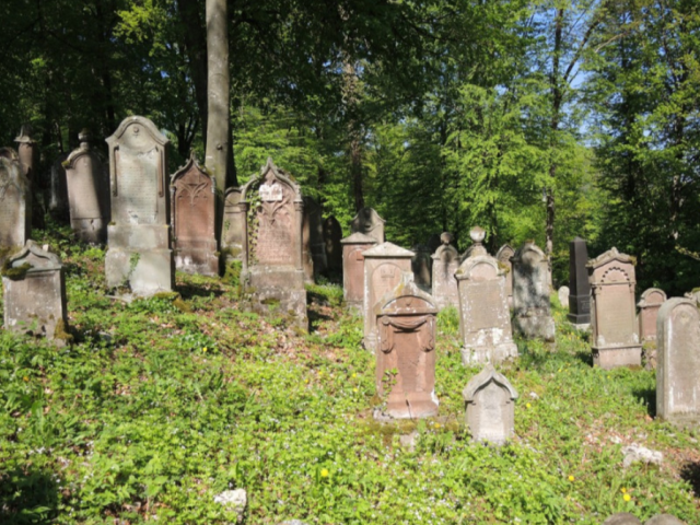 "In Stein gemeiselt"